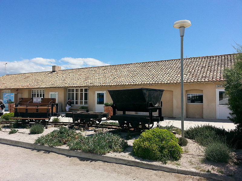 20150526 0015Hw [F] Saline, Aiges Mortes, Camargue