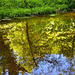 Summer Reflections on the River Derwent, Forge Valley, North Yorkshire