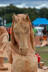 The Carrbridge World Chainsaw Carving Championship 2018