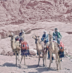 Our three guides and our three  dromedaries