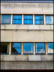 brutalist windows
