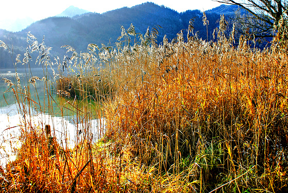 Autumn at the lake...  ©UdoSm