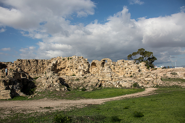 20141130 5758VRAw [CY] Salamis, Famagusta, Nordzypern