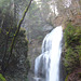 Wasserfall bei Rieggis