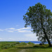 am Peipsi järv (Peipus-See), Blick nach Russland (© Buelipix)