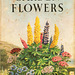 The Ladybird book of Garden Flowers 1960