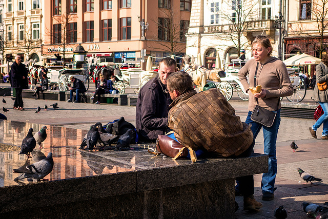 Kraków, Gołębiarze   pigeon fanciers   Taubenlie