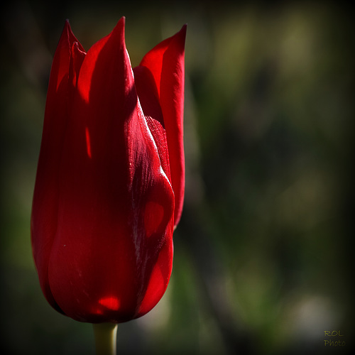 Sensuelle, beauté...!