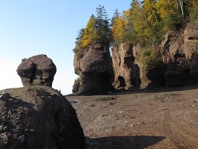 Hopewell Rocks at low tide