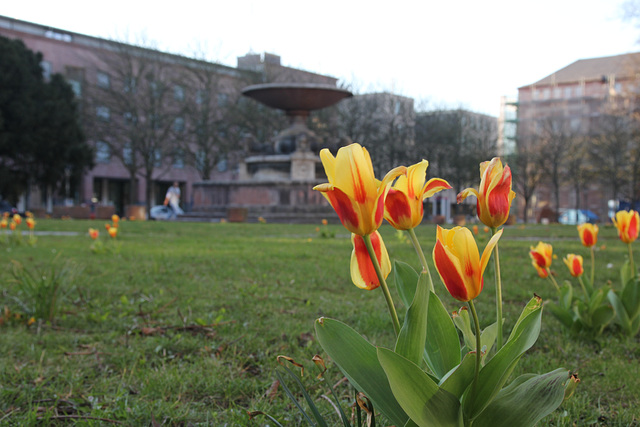 Mathildenplatz