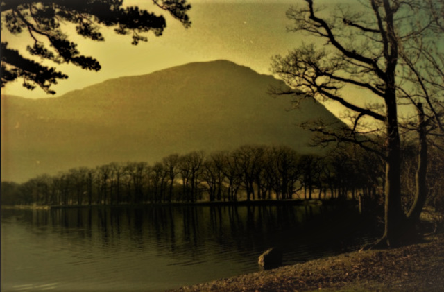 MORNING LIGHT > Crummock water