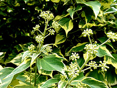 P1025261