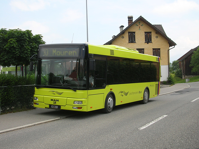 DSCN1901 Liechtenstein Bus Anstalt 6 (FL 2139) (operated by Ivo Matt A.G.)