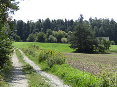 Feldweg