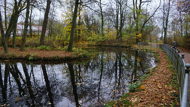 Spiegelung im Schlossteich Gieboldehausen