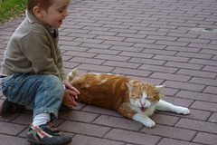 2009-09-12-18h33m17P1000281