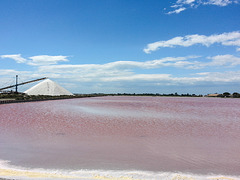 20150526 0019Hw [R~F] Saline, Aiges Mortes, Frankreich