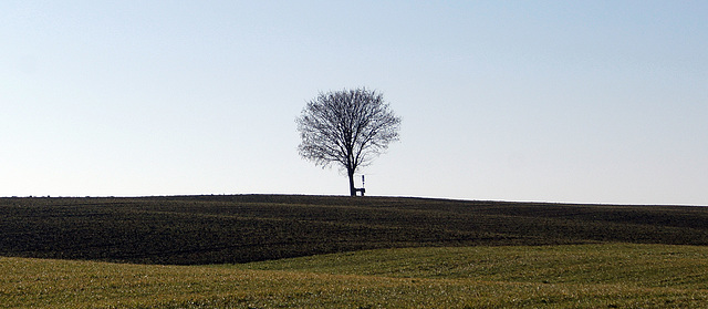 The One Tree Hill of Kemmental