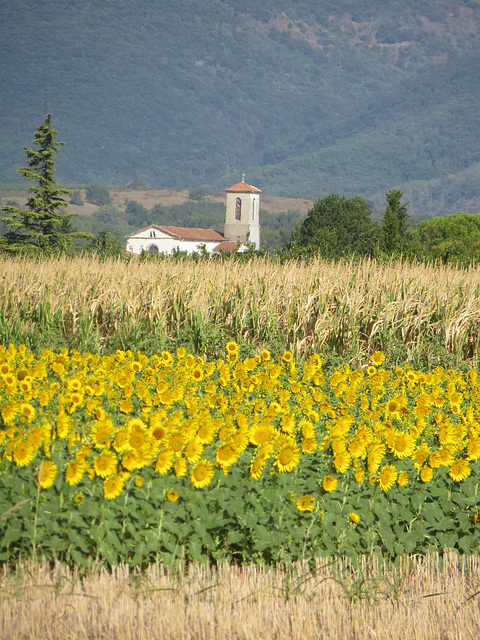 Champêtre