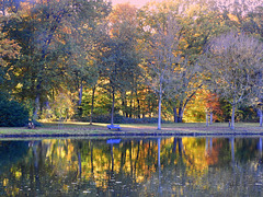 Autumn mirror