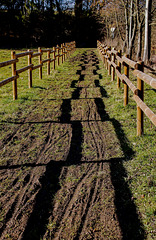 Two Fences and a muddy Path for Friday