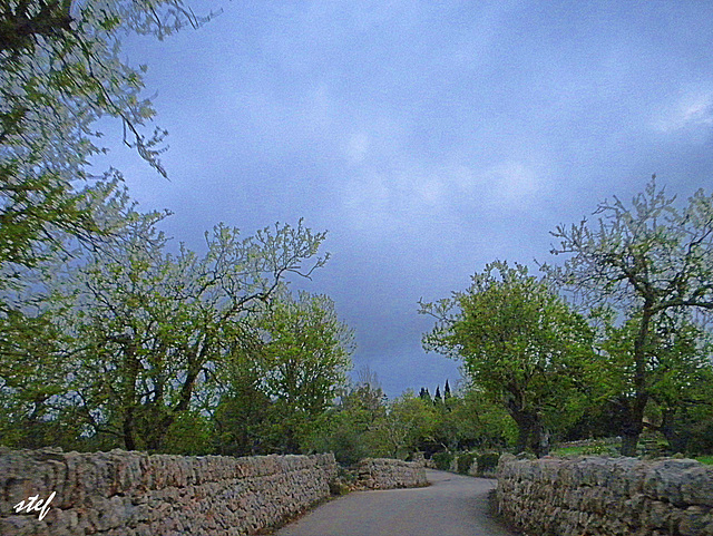 country road Mallorca