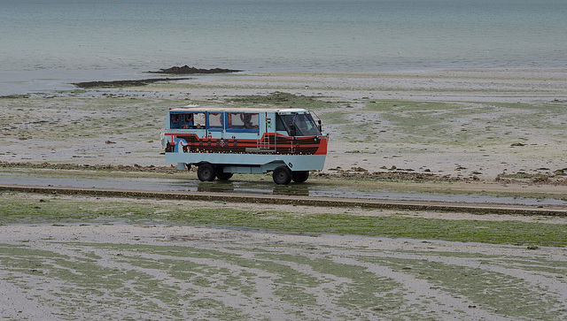 Over the sand we go!