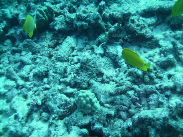 PICT0316.JPG