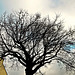 le beau temps revient,