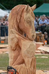 The Carrbridge World Chainsaw Carving Championship 2018