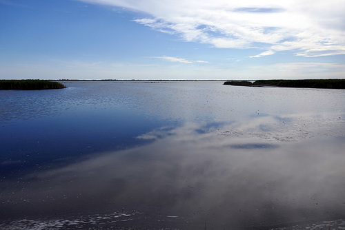 wide Camargue