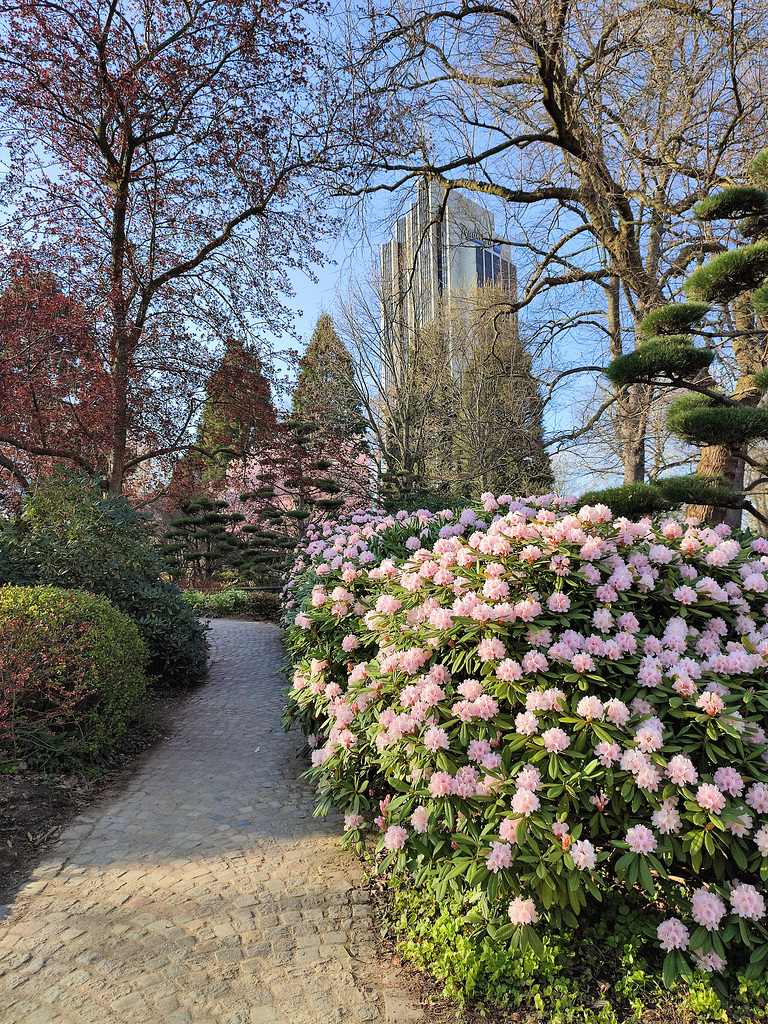 Planten und Blomen 17.04.2021