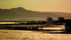 Across the vale > Flooded fields