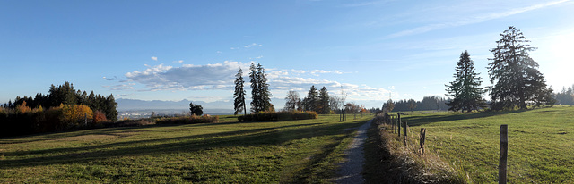 Zielstrecke Bergmang-Alpe