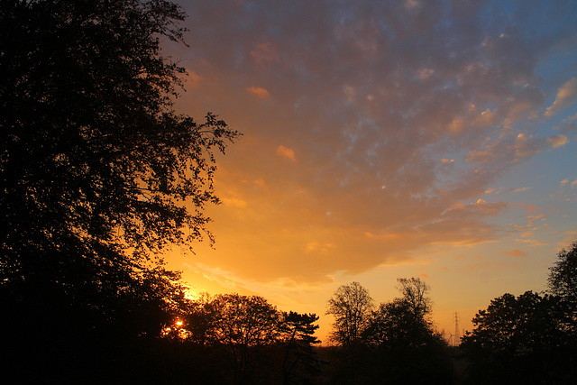 Sunrise After the Rain