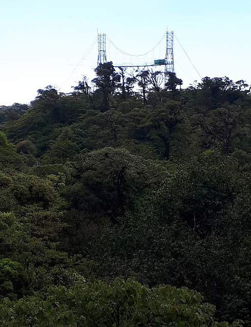 Zip-wire tower