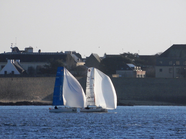 froid et vent arrière toute ,, on sort les Spi