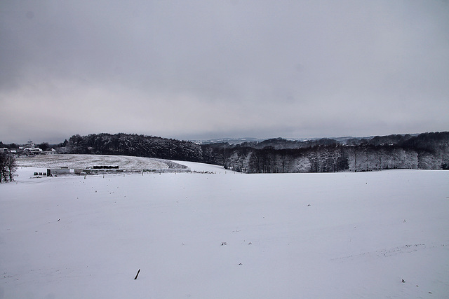 Blick über das Tal der Deilbachquelle (Sprockhövel-Herzkamp) / 15.01.2024