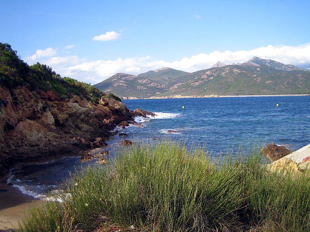 Galeria - Corse 2014