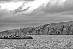 Båtsfjorden (Báhcavuonna)