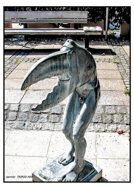 NARRENBRUNNEN