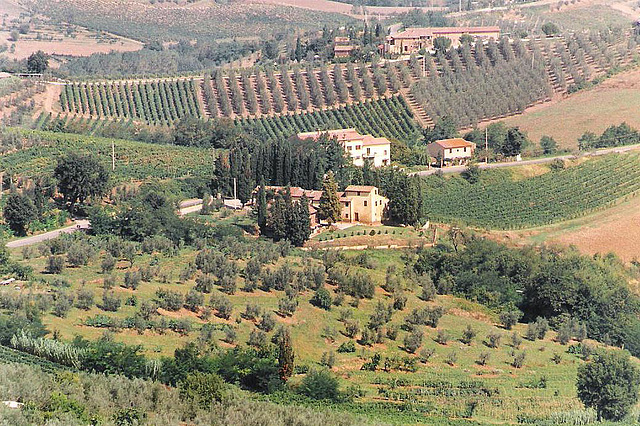 Paesaggio vicino à San Gimignano