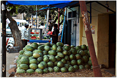 Water Melon