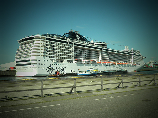 MSC Splendida