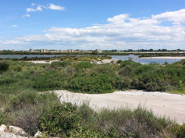 20150526 0028Hw [F] Saline, Aiges Mortes, Camargue