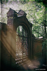 Old Gate.....