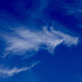 fair weather clouds - Mare's Tail