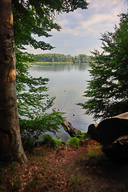 Am Pinnower See