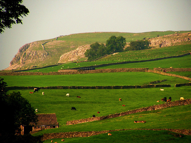 Austwick - Yorkshire Dales - Ingleborough