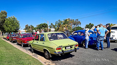 More at the 4CV Muster